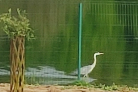 Продажа дома