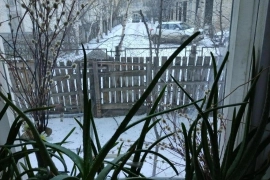 Четырехкомнатная квартира